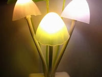 TAG more™ LED Mushroom Night Light - TAG more
